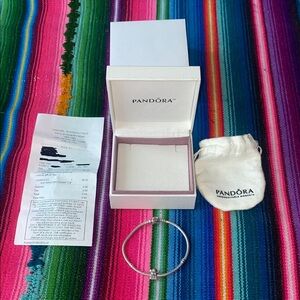 Pandora Sterling Silver Angel Of Hope Charm & Charm Bracelet